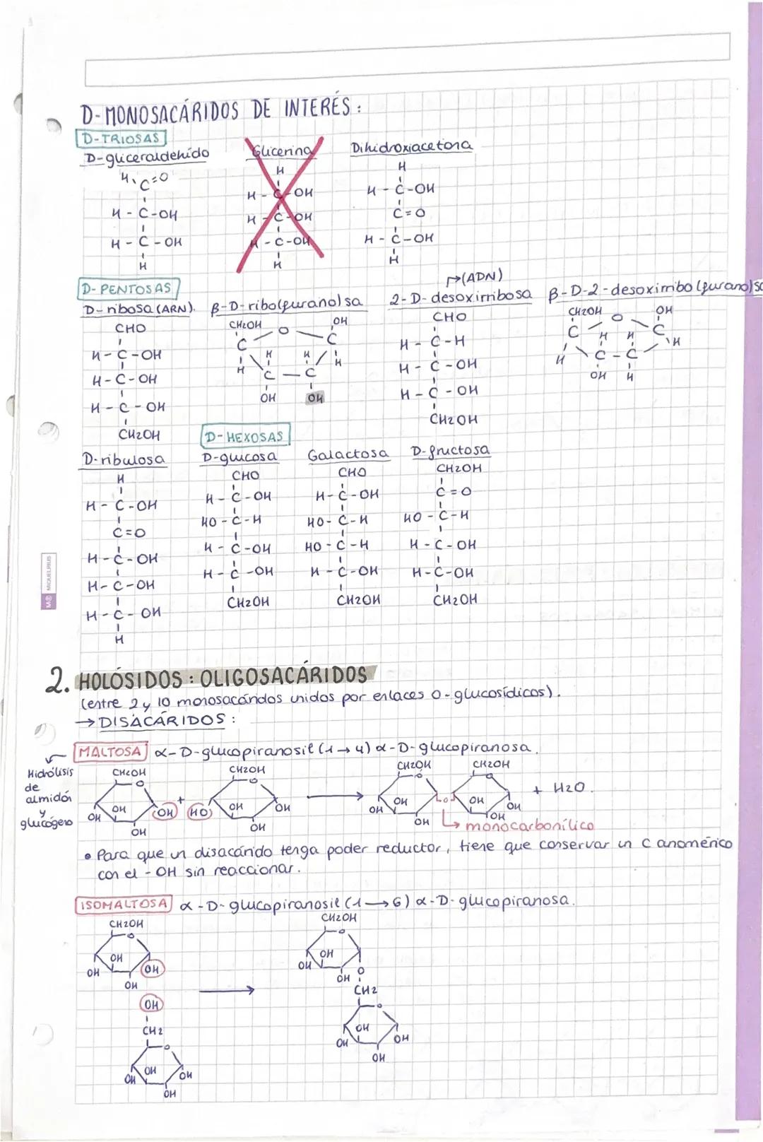 # TEMA 1: BIDELEMENTOS Y
BIOMOLEMENTOS
SER VIVO: ① Formado por una o más células. ② Realiza las 3 funciones.
vitales. ③ Tiener una composici