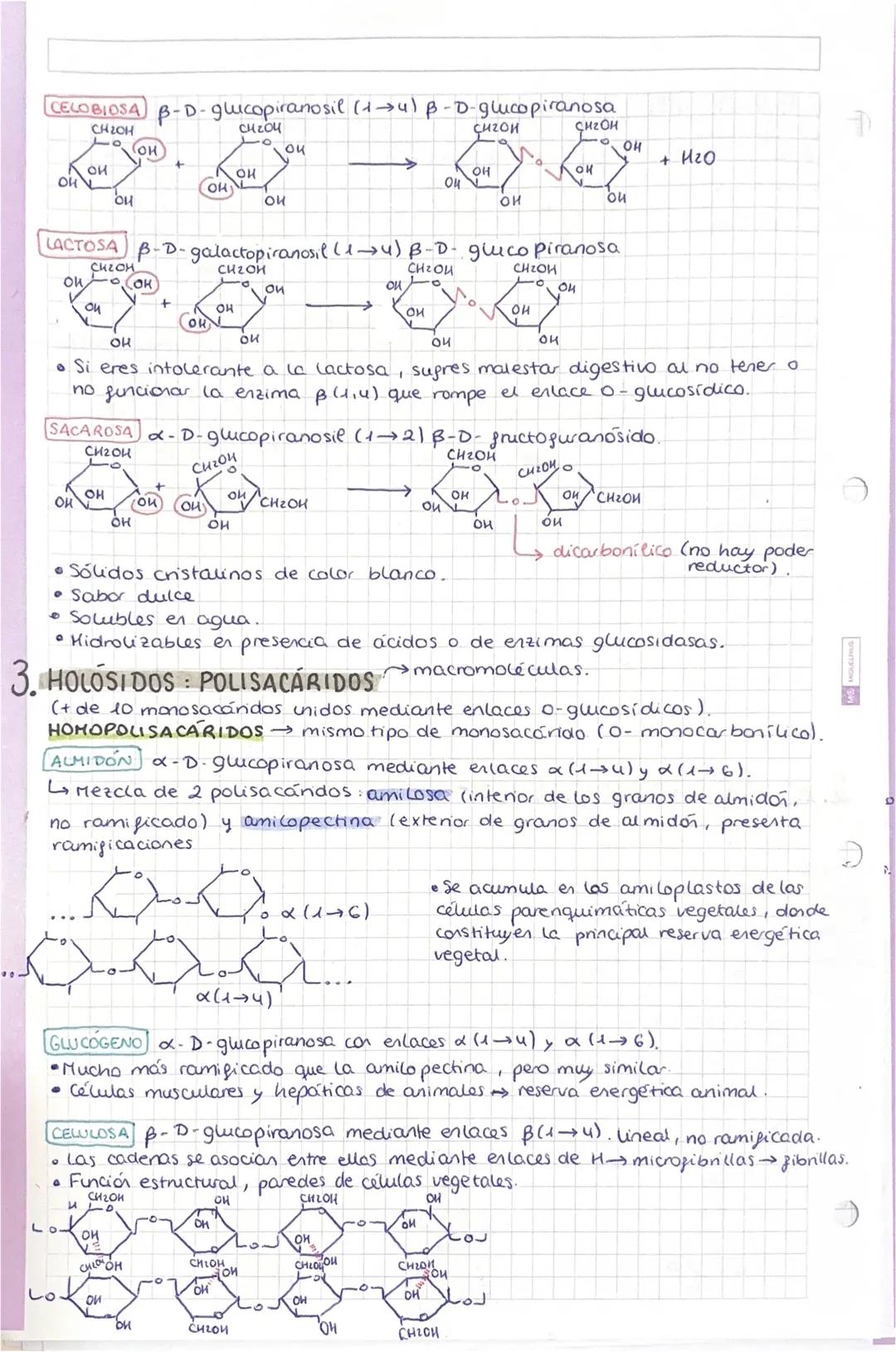 # TEMA 1: BIDELEMENTOS Y
BIOMOLEMENTOS
SER VIVO: ① Formado por una o más células. ② Realiza las 3 funciones.
vitales. ③ Tiener una composici