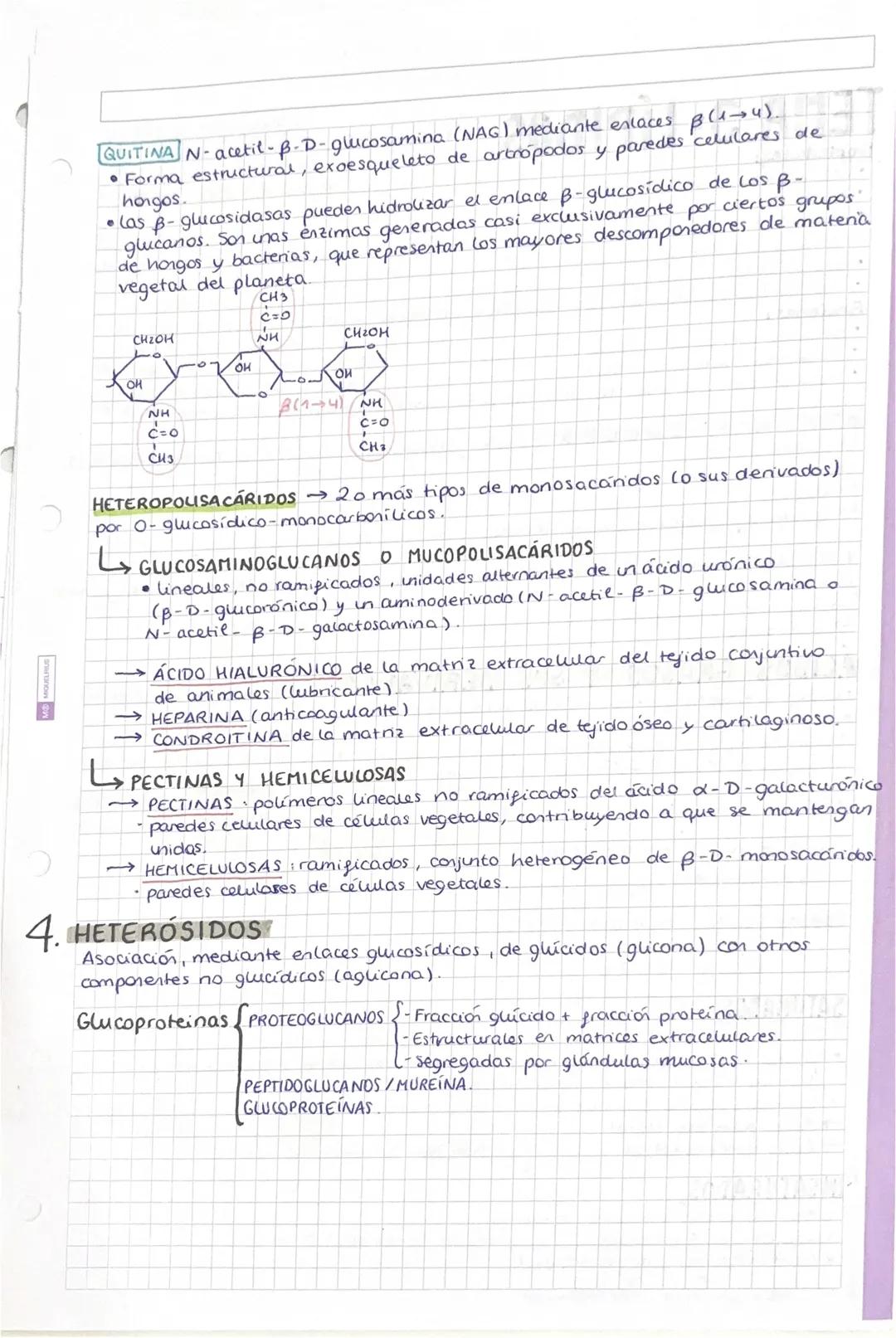 # TEMA 1: BIDELEMENTOS Y
BIOMOLEMENTOS
SER VIVO: ① Formado por una o más células. ② Realiza las 3 funciones.
vitales. ③ Tiener una composici