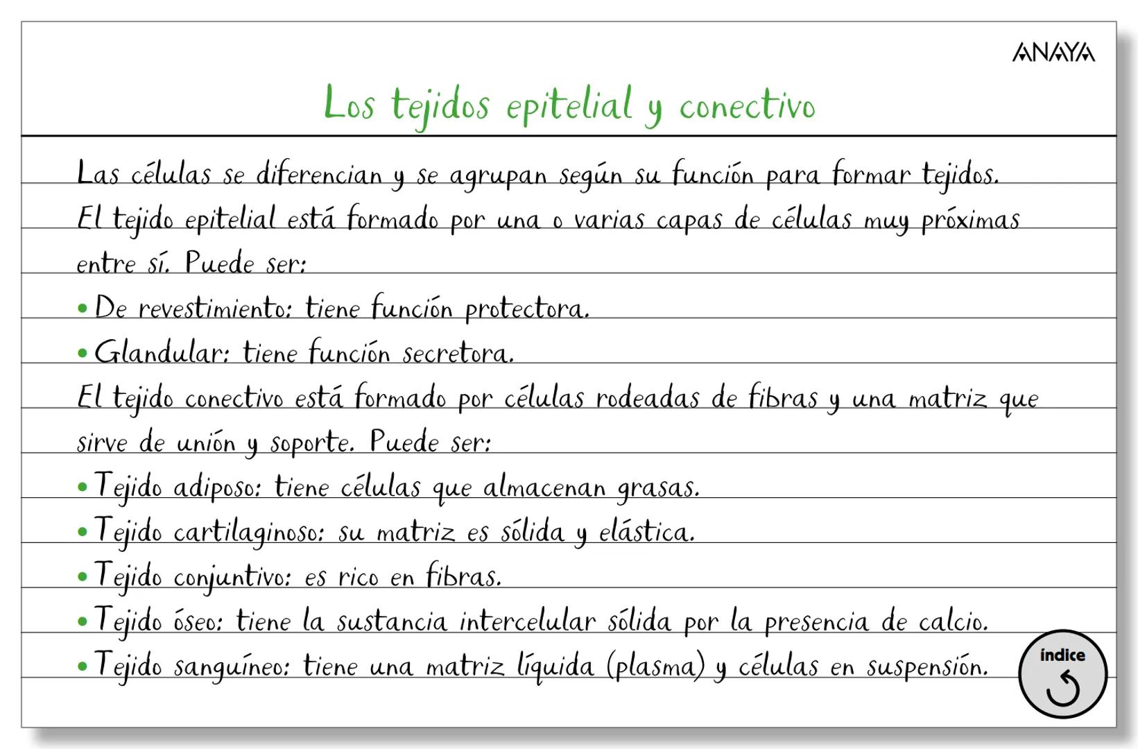 Conceptos ficha 2
Biología y Geología 3.º ESO
La organización del ser humano
Los niveles
de organización
Los tejidos
La célula
Membran