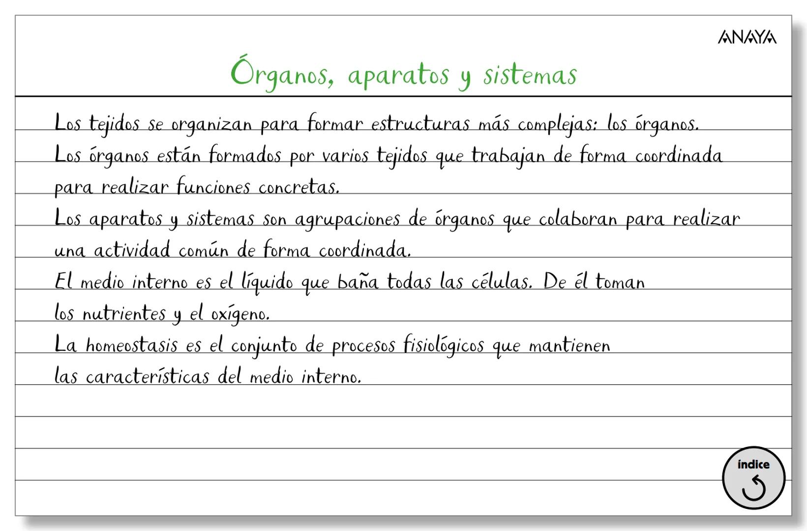 Conceptos ficha 2
Biología y Geología 3.º ESO
La organización del ser humano
Los niveles
de organización
Los tejidos
La célula
Membran