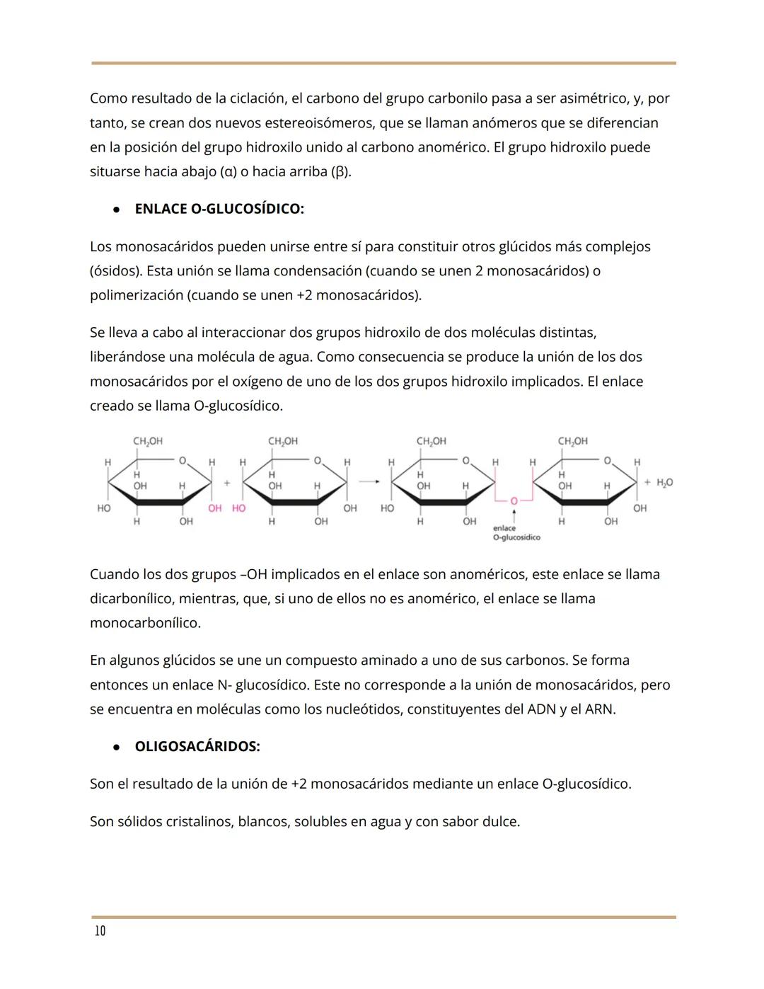 # BLOQUE 1: BIOMOLÉCULAS
1. BIOELEMENTOS
Son los elementos químicos que constituyen la materia viva, es decir, son elementos que
están pre