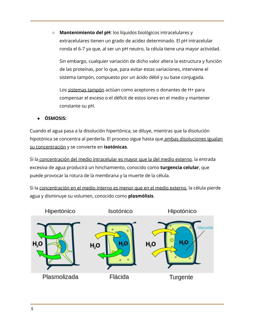 # BLOQUE 1: BIOMOLÉCULAS
1. BIOELEMENTOS
Son los elementos químicos que constituyen la materia viva, es decir, son elementos que
están pre