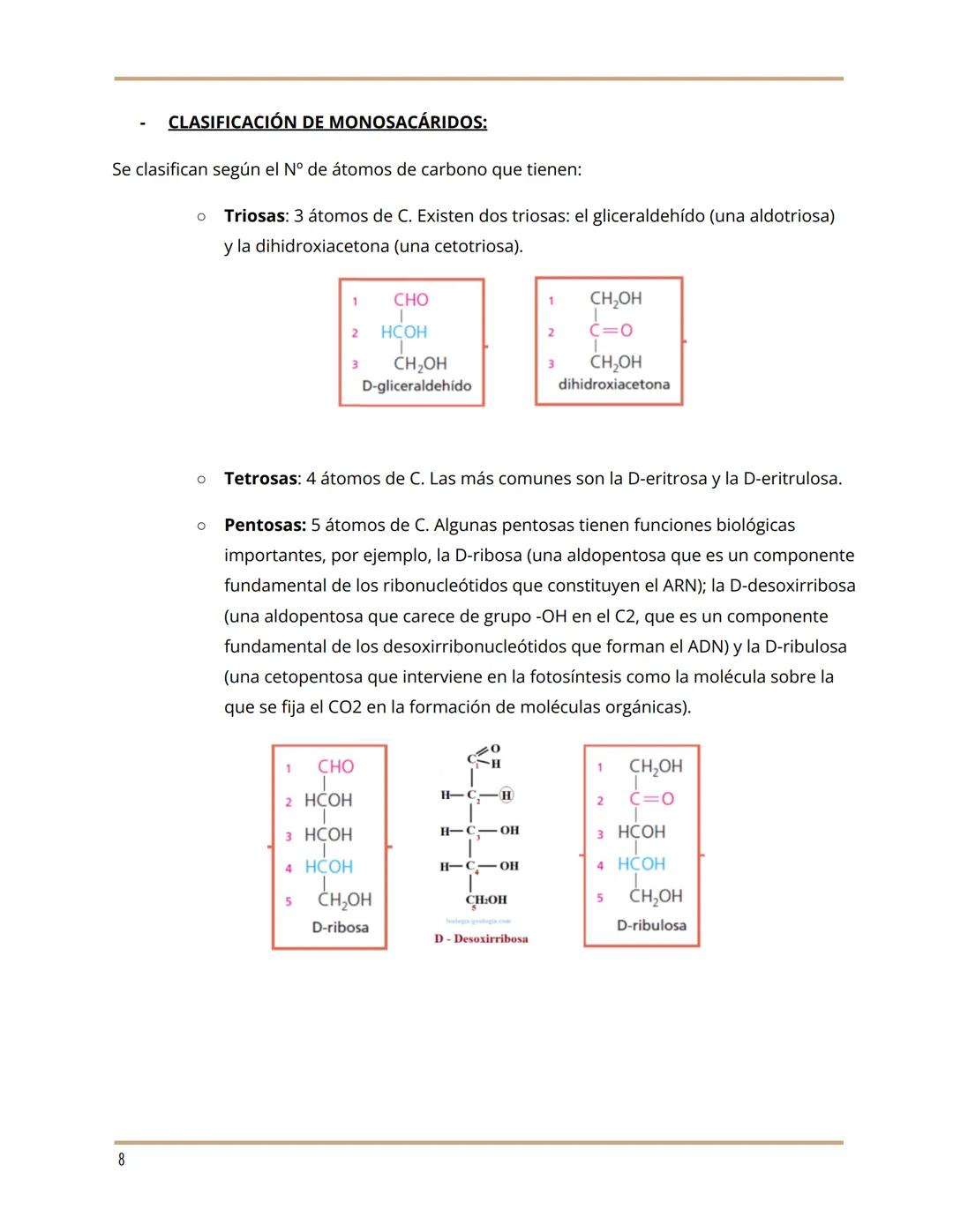# BLOQUE 1: BIOMOLÉCULAS
1. BIOELEMENTOS
Son los elementos químicos que constituyen la materia viva, es decir, son elementos que
están pre