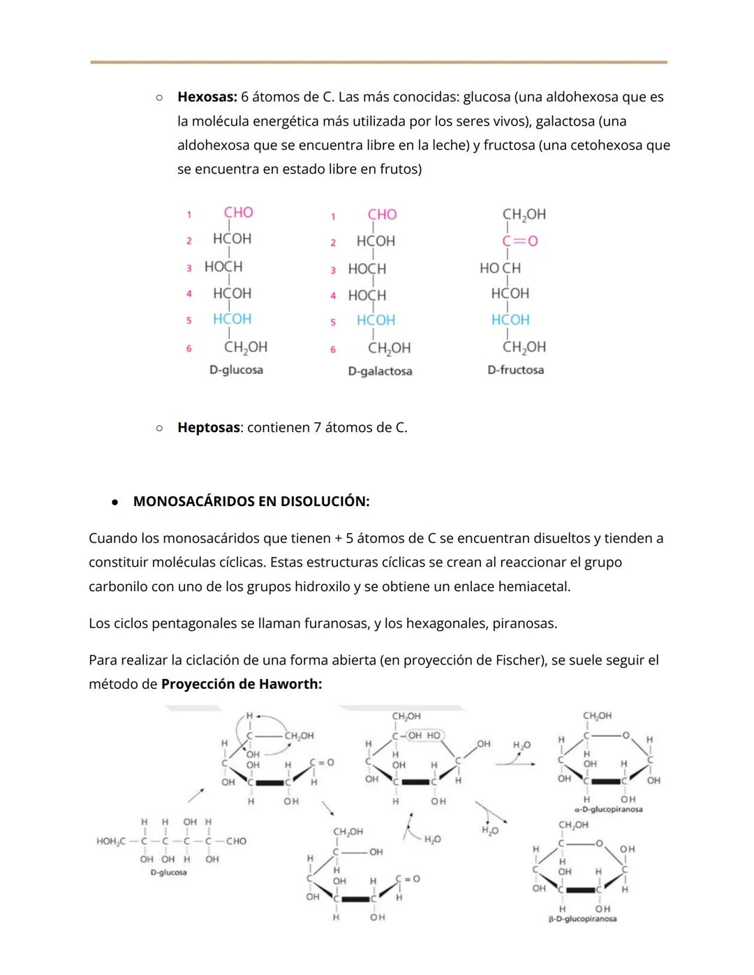 # BLOQUE 1: BIOMOLÉCULAS
1. BIOELEMENTOS
Son los elementos químicos que constituyen la materia viva, es decir, son elementos que
están pre