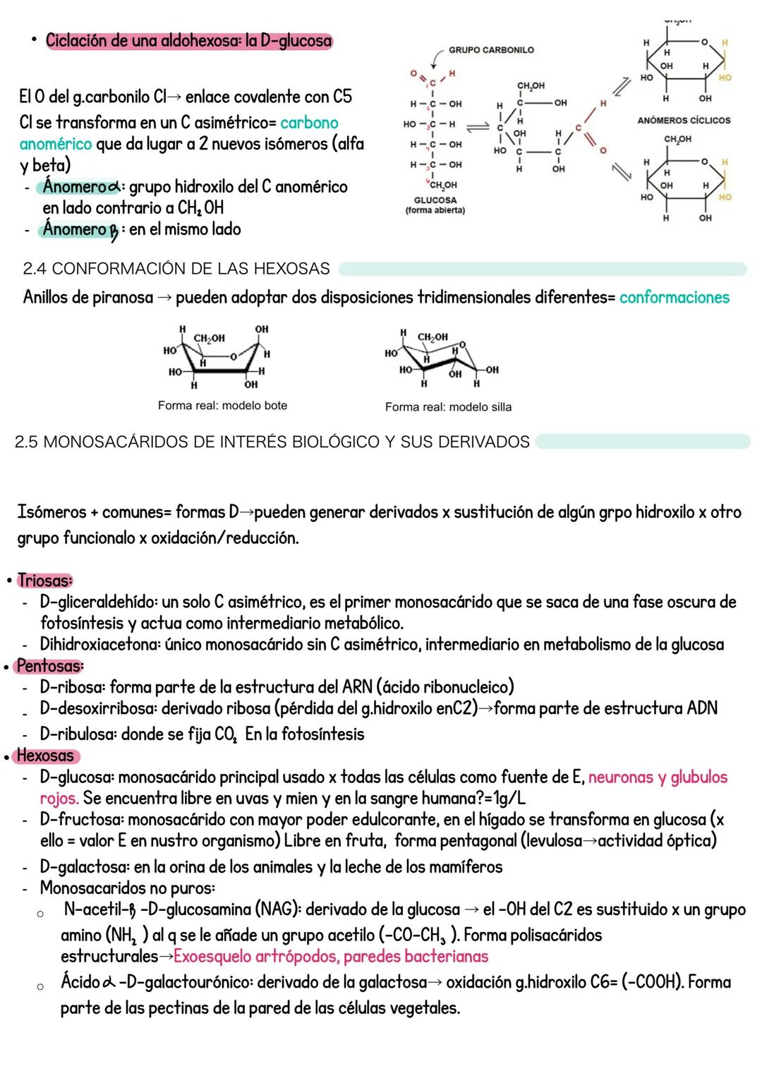 # Tema 2: LOS GIÚCidos
1. LOS GLÚCIDOS
Glúcidos= biomoléculas orgánicas compuestas de carbono, hidrógeno y oxígeno
$C_xH_yO_z \rightarrow