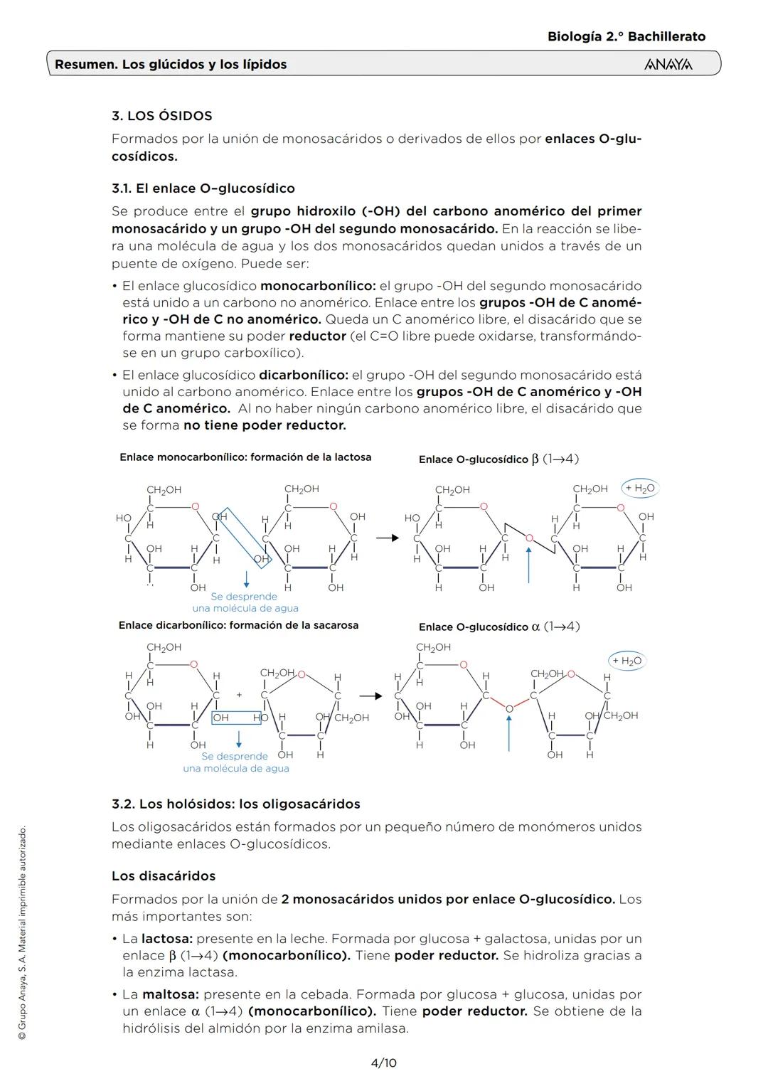 Resumen. Los glúcidos y los lípidos
Biología 2.º Bachillerato
ANAYA
1. LAS CARACTERÍSTICAS DE LOS GLÚCIDOS
Son biomoléculas orgánicas for
