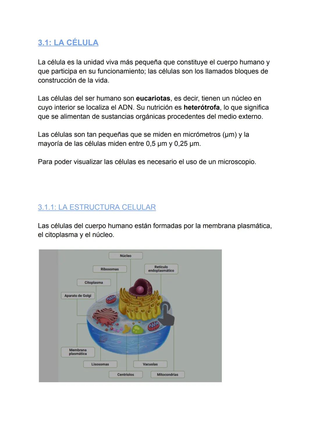 # T.1: LA ORGANIZACIÓN
DEL CUERPO HUMANO
## 2.1: LOS NIVELES DE ORGANIZACIÓN DEL CUERPO HUMANO
El cuerpo humano está compuesto por diverso