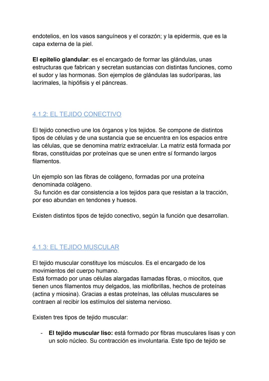 # T.1: LA ORGANIZACIÓN
DEL CUERPO HUMANO
## 2.1: LOS NIVELES DE ORGANIZACIÓN DEL CUERPO HUMANO
El cuerpo humano está compuesto por diverso