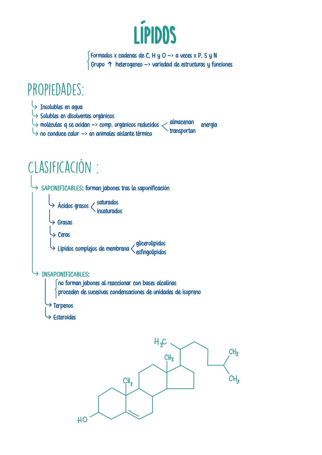 # LÍPIDOS
Formados x cadenas de C. Hy O -> a veces x P. Sy N
Grupo heterogeneo -> variedad de estructuras y funciones
PROPIEDADES:
Insolu