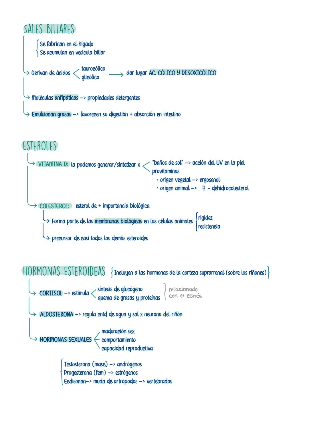 # LÍPIDOS
Formados x cadenas de C. Hy O -> a veces x P. Sy N
Grupo heterogeneo -> variedad de estructuras y funciones
PROPIEDADES:
Insolu