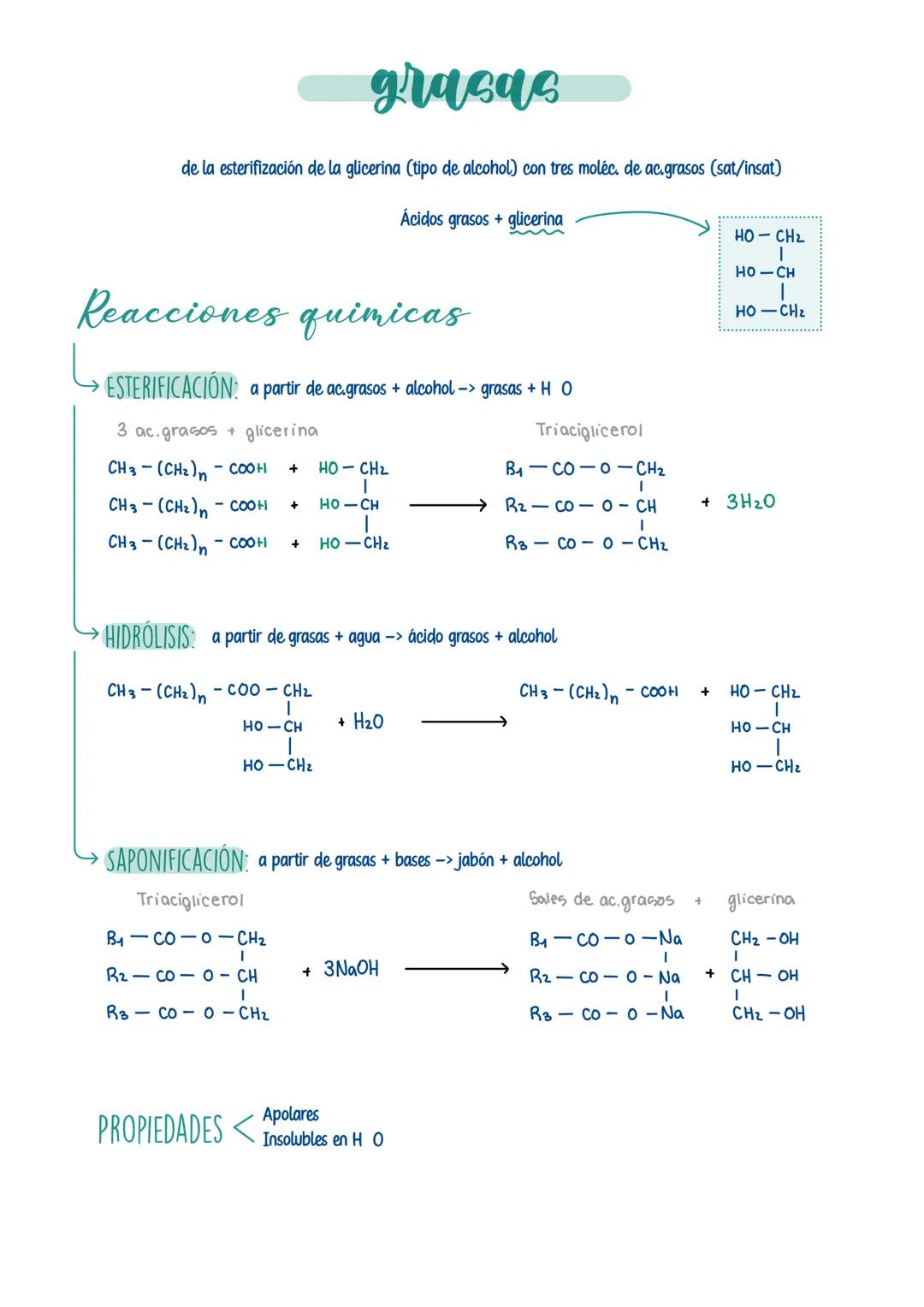 # LÍPIDOS
Formados x cadenas de C. Hy O -> a veces x P. Sy N
Grupo heterogeneo -> variedad de estructuras y funciones
PROPIEDADES:
Insolu