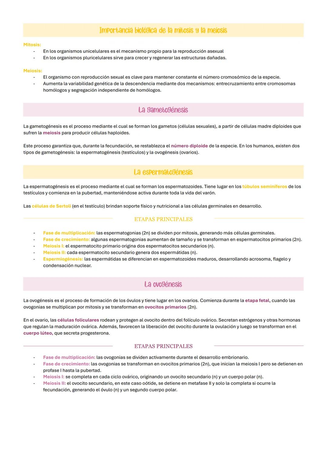 # El nucleo celular
El núcleo es un orgánulo de doble membrana encargado de contener el ADN celular y de la coordinación de las funciones c