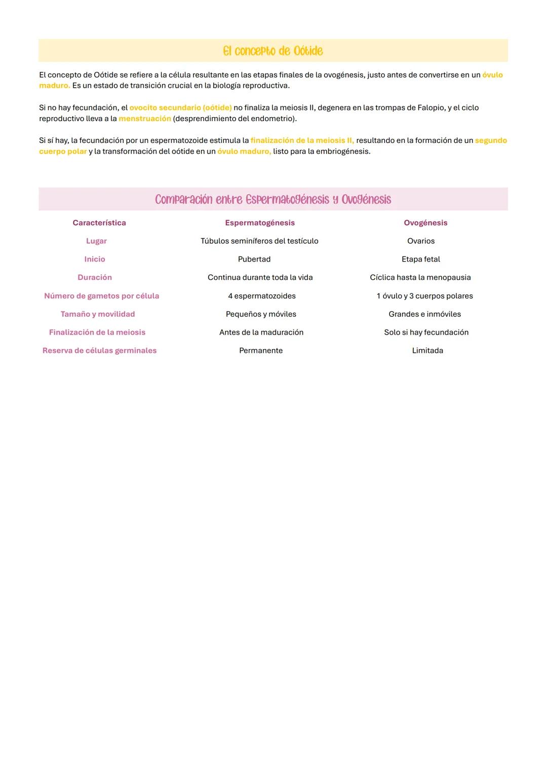 # El nucleo celular
El núcleo es un orgánulo de doble membrana encargado de contener el ADN celular y de la coordinación de las funciones c