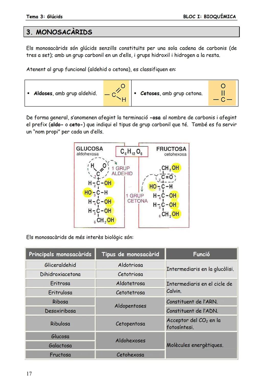 Tema 3: Glúcids
BLOC I: BIOQUÍMICA
# 3. MONOSACARIDS
Els monosacàrids són glúcids senzills constituïts per una sola cadena de carbonis (de