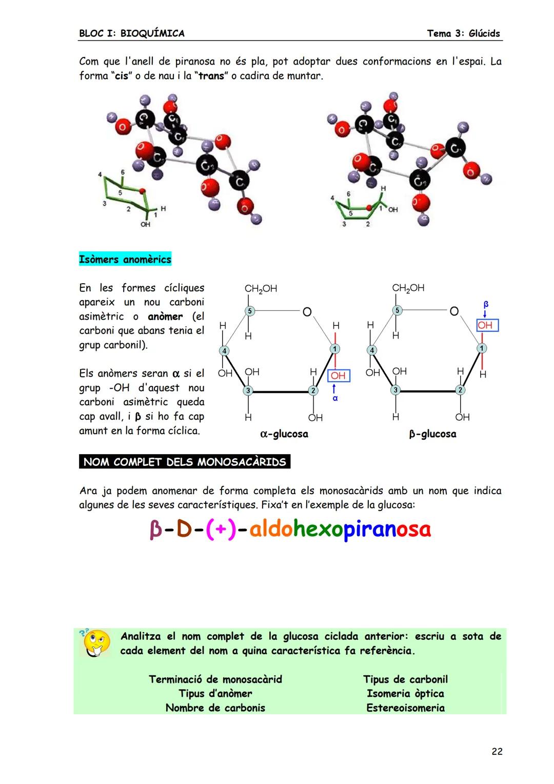 Tema 3: Glúcids
BLOC I: BIOQUÍMICA
# 3. MONOSACARIDS
Els monosacàrids són glúcids senzills constituïts per una sola cadena de carbonis (de