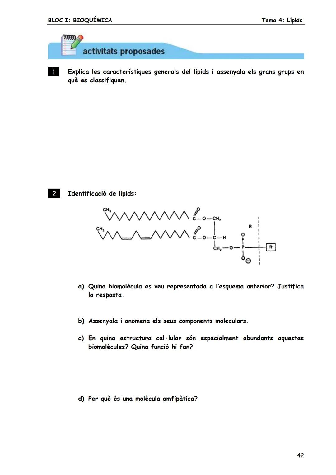 BLOC I: BIOQUÍMICA
Tema 4: Lípids
LÍPIDS
1. CONCEPTE DE LÍPID
Els lípids són biomolècules orgàniques formades bàsicament per carboni, hid