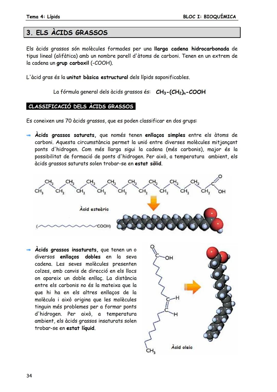 BLOC I: BIOQUÍMICA
Tema 4: Lípids
LÍPIDS
1. CONCEPTE DE LÍPID
Els lípids són biomolècules orgàniques formades bàsicament per carboni, hid