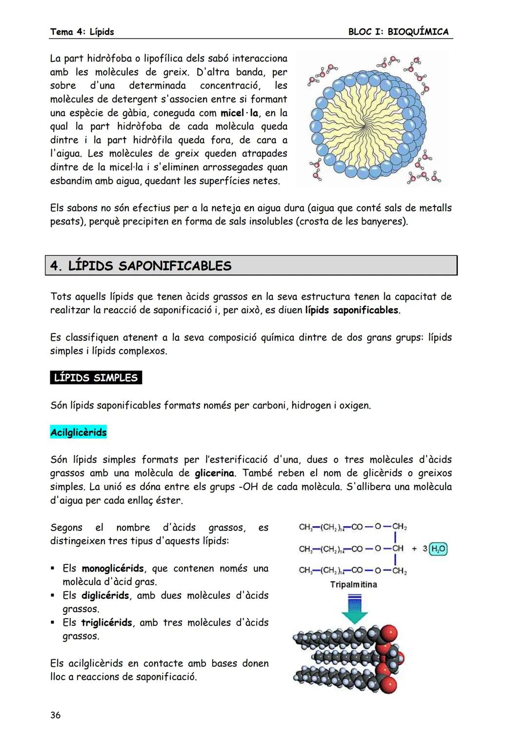 BLOC I: BIOQUÍMICA
Tema 4: Lípids
LÍPIDS
1. CONCEPTE DE LÍPID
Els lípids són biomolècules orgàniques formades bàsicament per carboni, hid