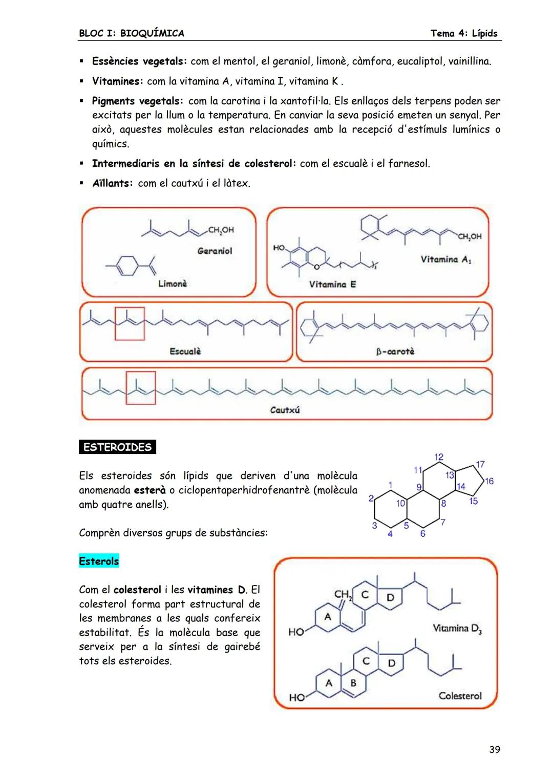 BLOC I: BIOQUÍMICA
Tema 4: Lípids
LÍPIDS
1. CONCEPTE DE LÍPID
Els lípids són biomolècules orgàniques formades bàsicament per carboni, hid