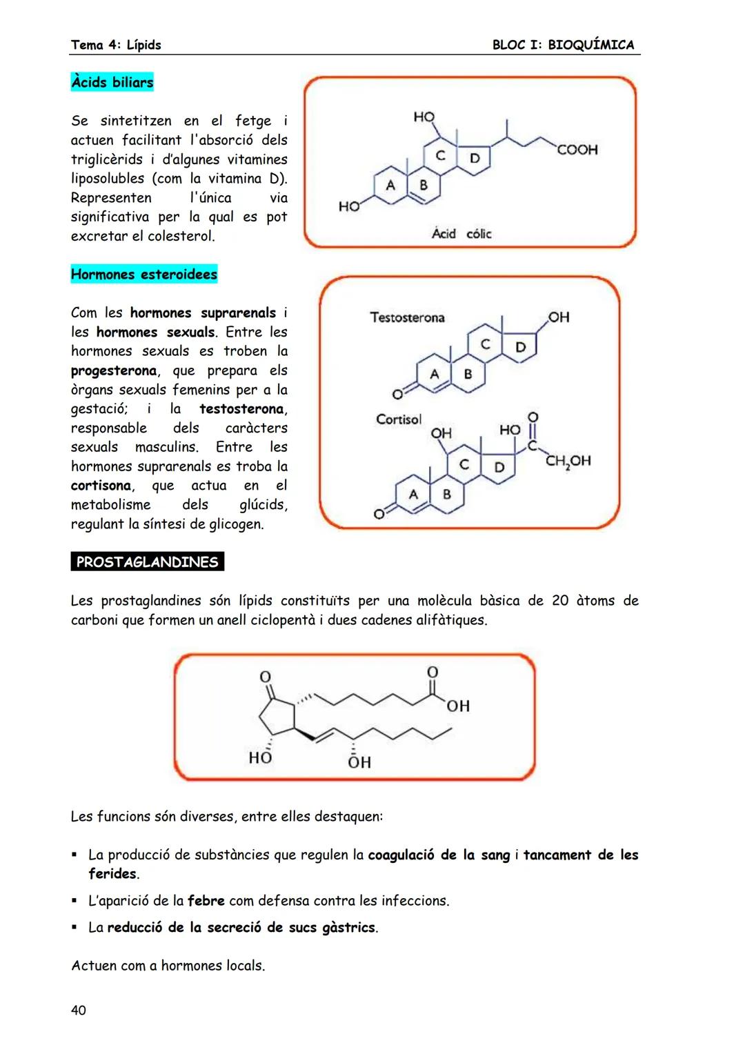BLOC I: BIOQUÍMICA
Tema 4: Lípids
LÍPIDS
1. CONCEPTE DE LÍPID
Els lípids són biomolècules orgàniques formades bàsicament per carboni, hid