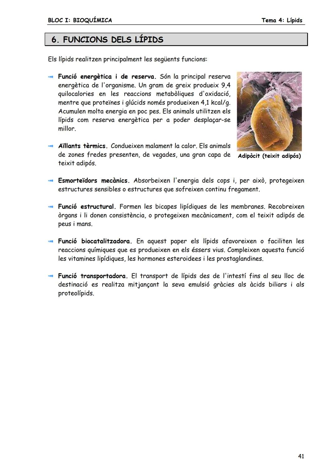 BLOC I: BIOQUÍMICA
Tema 4: Lípids
LÍPIDS
1. CONCEPTE DE LÍPID
Els lípids són biomolècules orgàniques formades bàsicament per carboni, hid