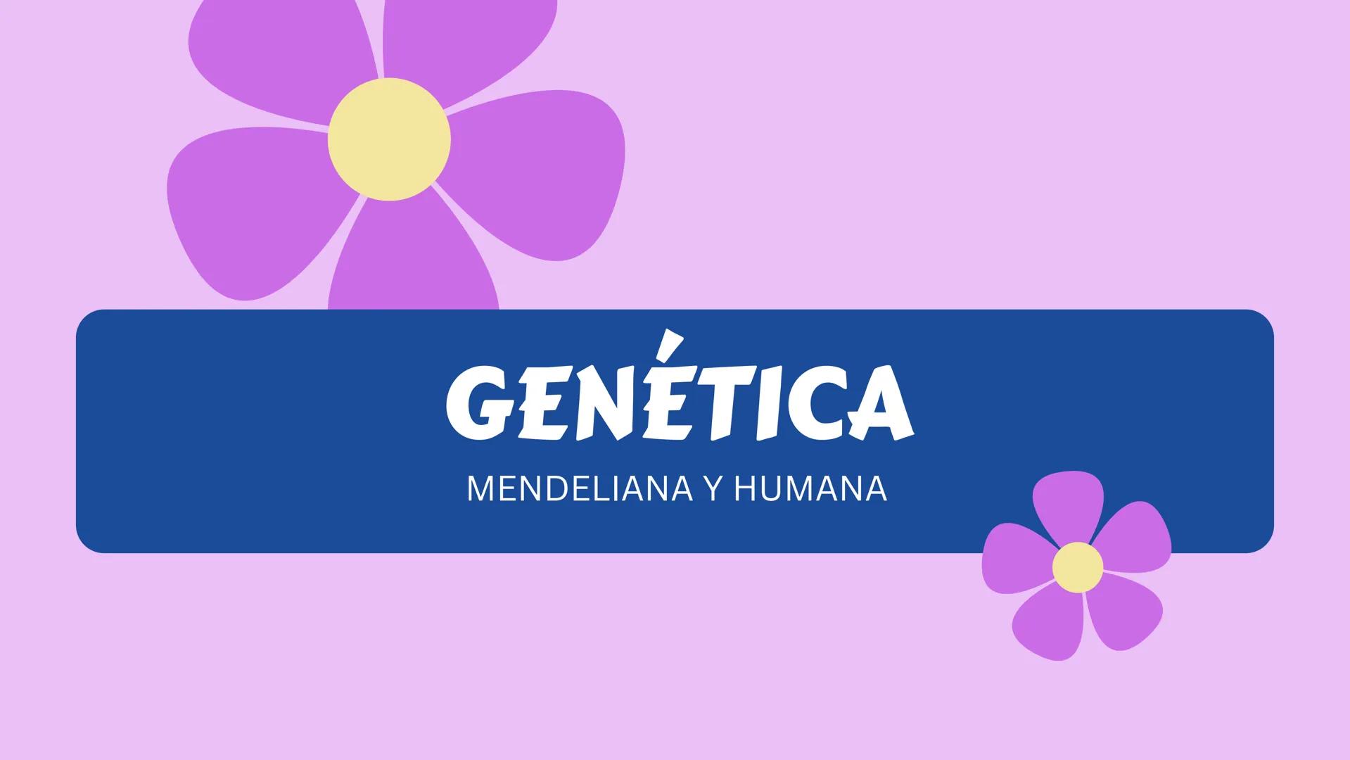 # GENÉTICA
MENDELIANA Y HUMANA # CONCEPTOS
-GEN: Porción de ADN que codifica una
proteína que va a expresar un caracter.
-ALELO: Variante