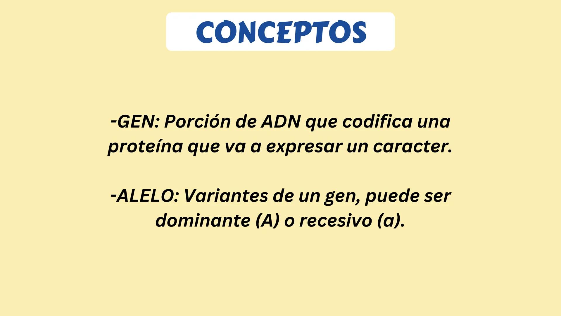 # GENÉTICA
MENDELIANA Y HUMANA # CONCEPTOS
-GEN: Porción de ADN que codifica una
proteína que va a expresar un caracter.
-ALELO: Variante