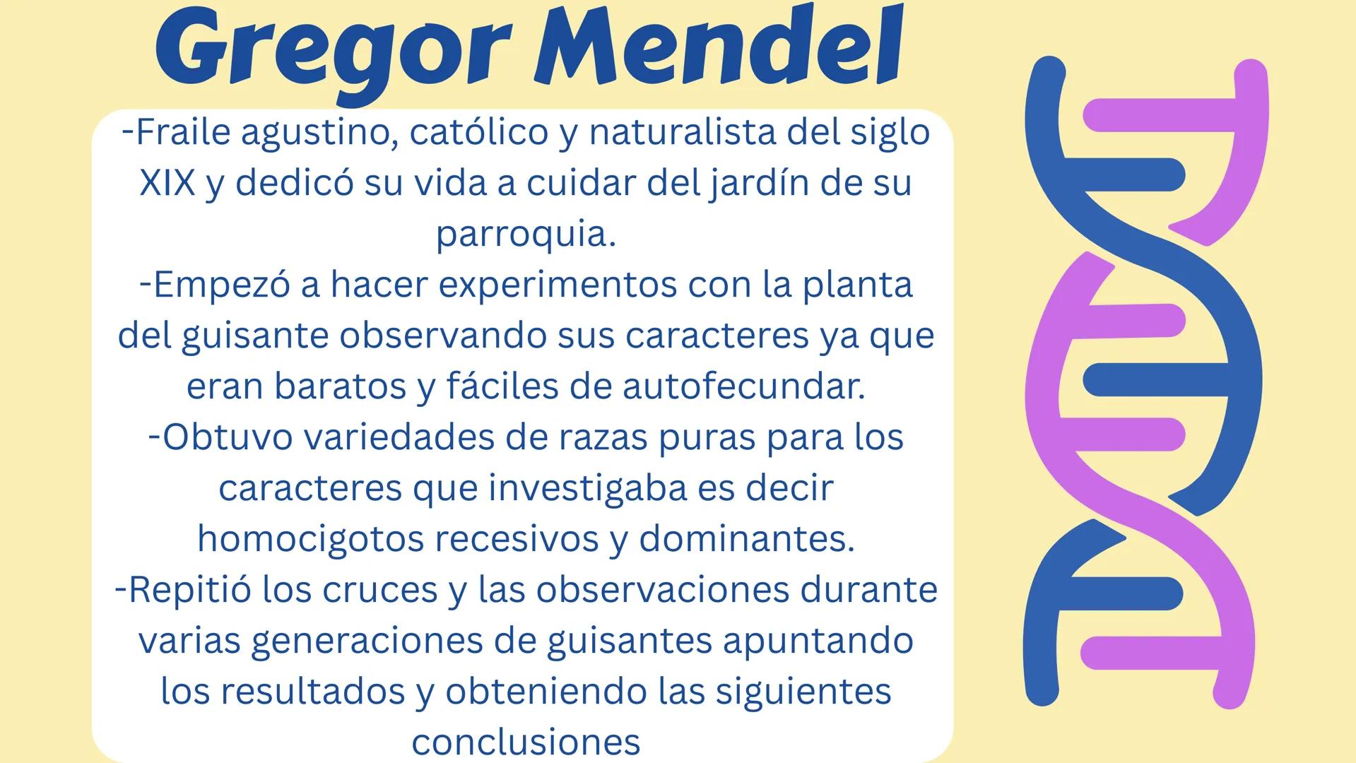# GENÉTICA
MENDELIANA Y HUMANA # CONCEPTOS
-GEN: Porción de ADN que codifica una
proteína que va a expresar un caracter.
-ALELO: Variante