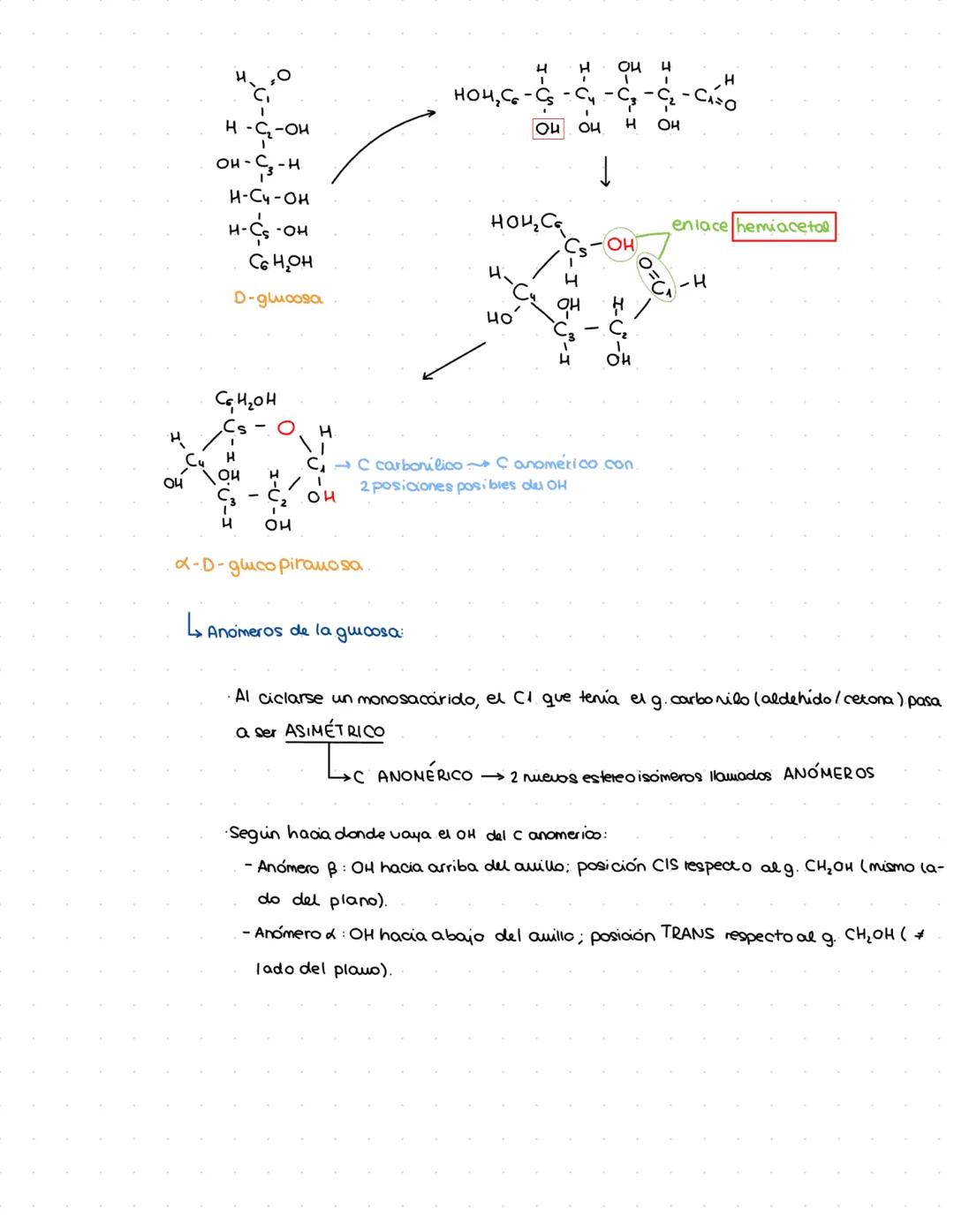 @By.kotee Guicidos:
1. Características generales y clasificación:
Biomolec.+ abundantes en la naturaleza (75% de la mat orgánica)
Formadas