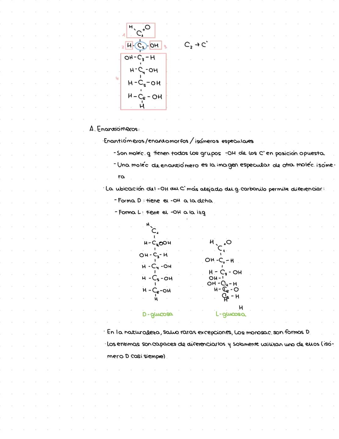 @By.kotee Guicidos:
1. Características generales y clasificación:
Biomolec.+ abundantes en la naturaleza (75% de la mat orgánica)
Formadas