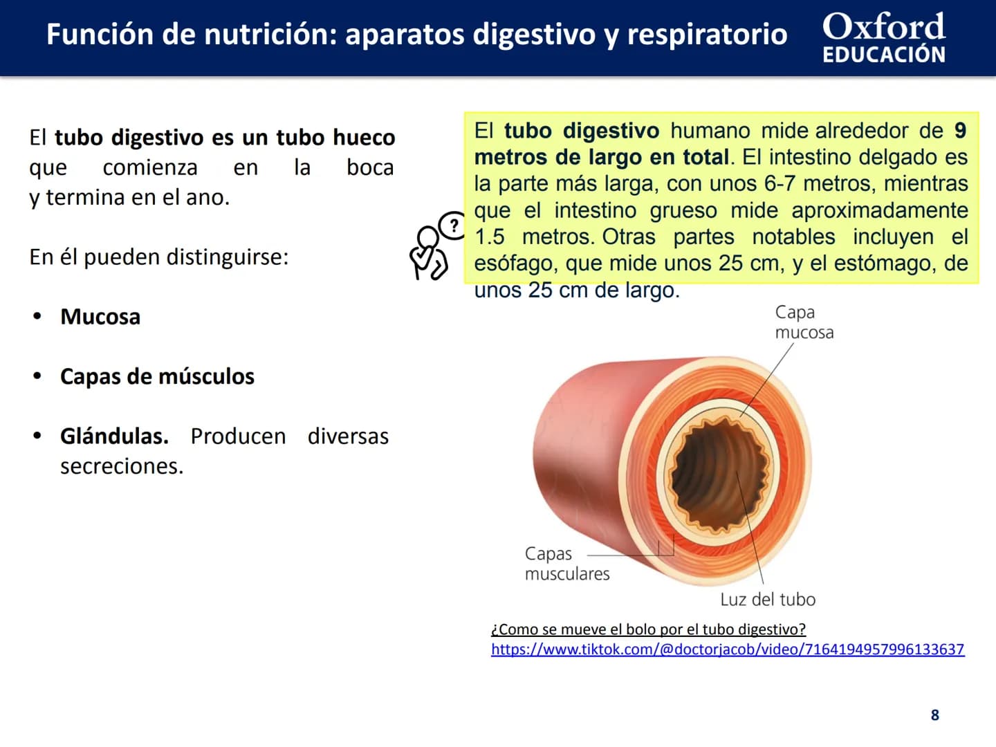 Oxford
EDUCACIÓN
FUNCIÓN DE
NUTRICIÓN: APARATOS
DIGESTIVO Y
RESPIRATORIO
Biología y Geología
DOMI ΜΙΝΑ # Función de nutrición: aparatos d