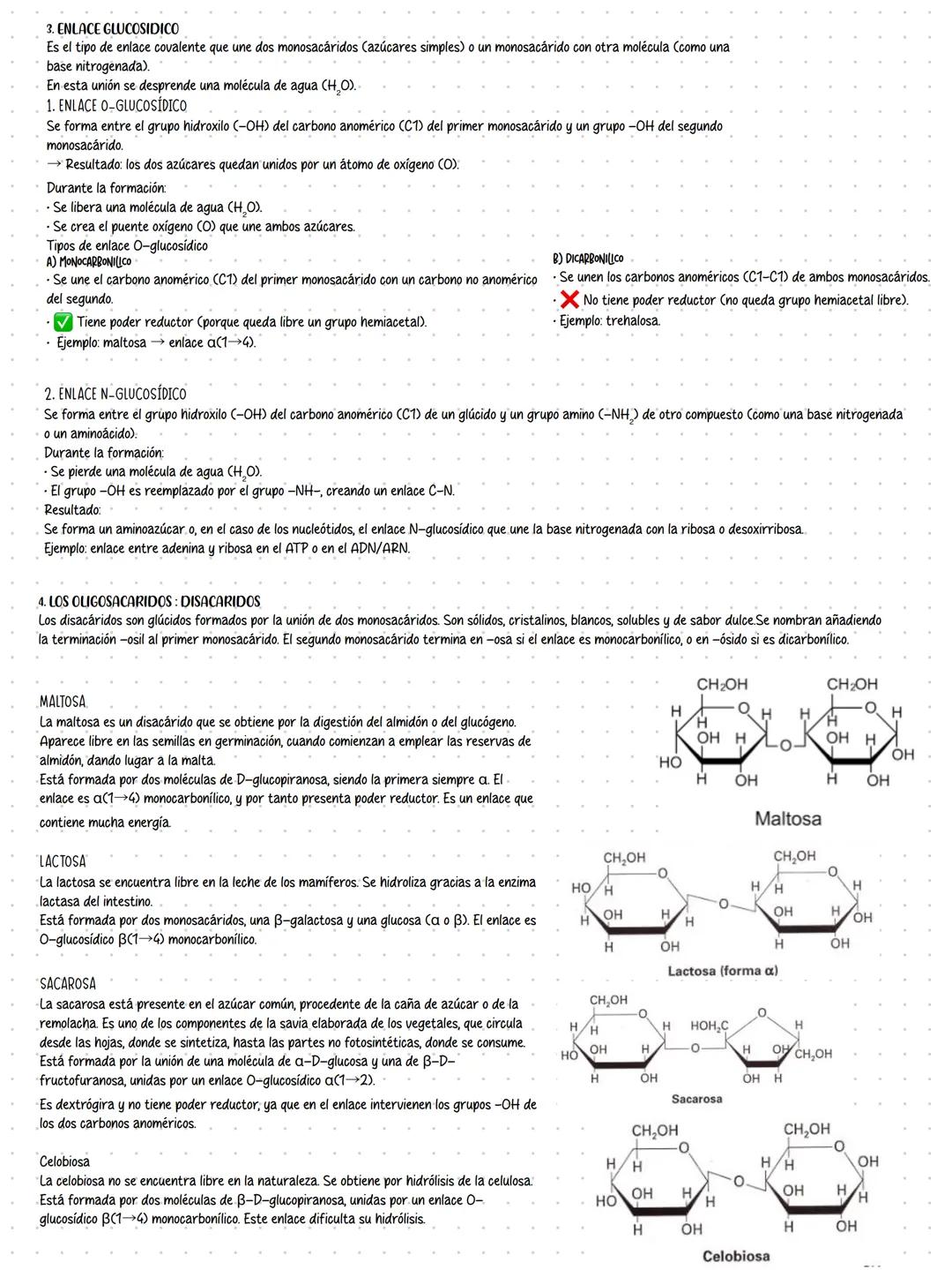 tema 2:
LOS GLÚCIDOS
1. LOS GLUCIDOS
Los glúcidos (también llamados hidratos de carbono o carbohidratos) son biomoléculas orgánicas
formad