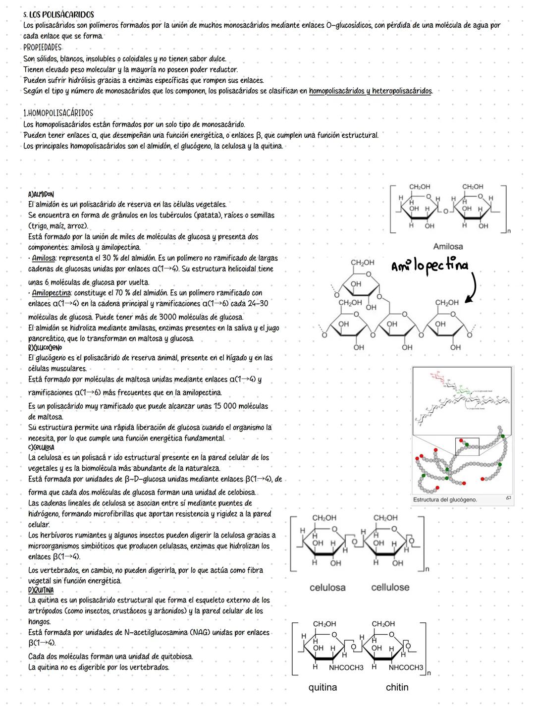 tema 2:
LOS GLÚCIDOS
1. LOS GLUCIDOS
Los glúcidos (también llamados hidratos de carbono o carbohidratos) son biomoléculas orgánicas
formad
