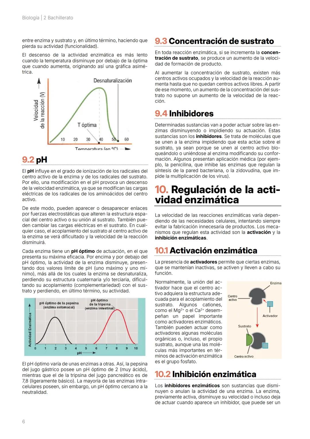 BI 2
BACH
Capítulo 5.
Enzimas Biología | 2 Bachillerato
2 # 1. Introducción
Las reacciones bioquímicas que ocurren entre los compo-
nent