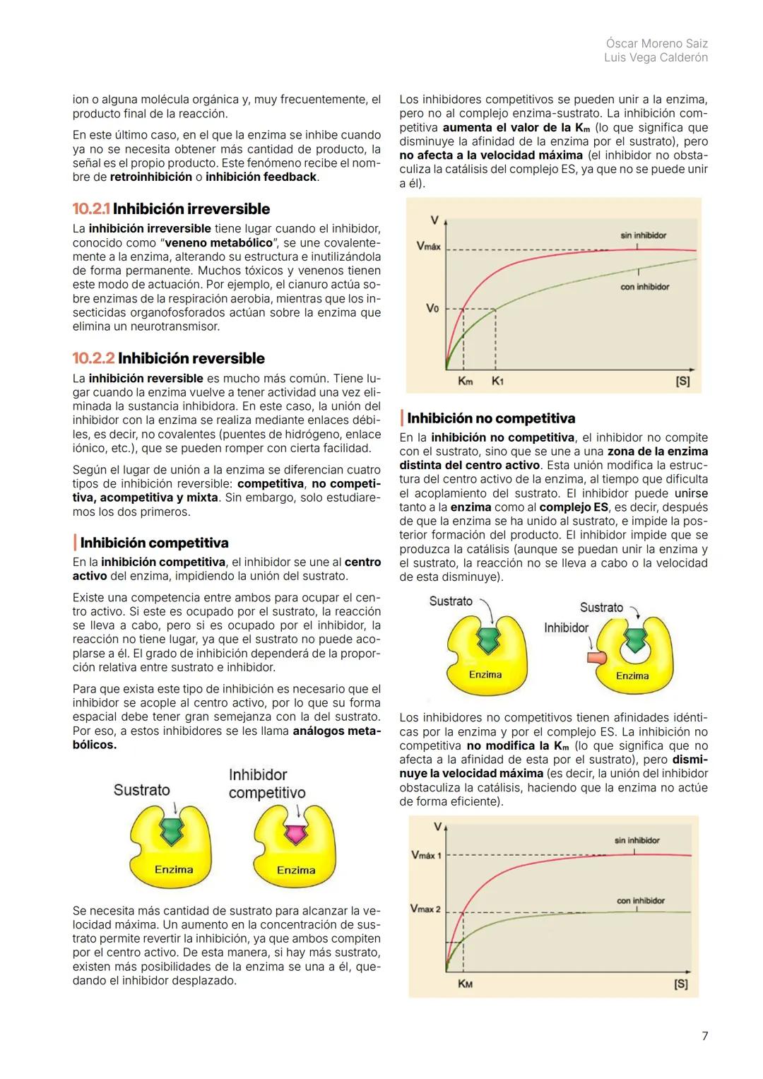 BI 2
BACH
Capítulo 5.
Enzimas Biología | 2 Bachillerato
2 # 1. Introducción
Las reacciones bioquímicas que ocurren entre los compo-
nent