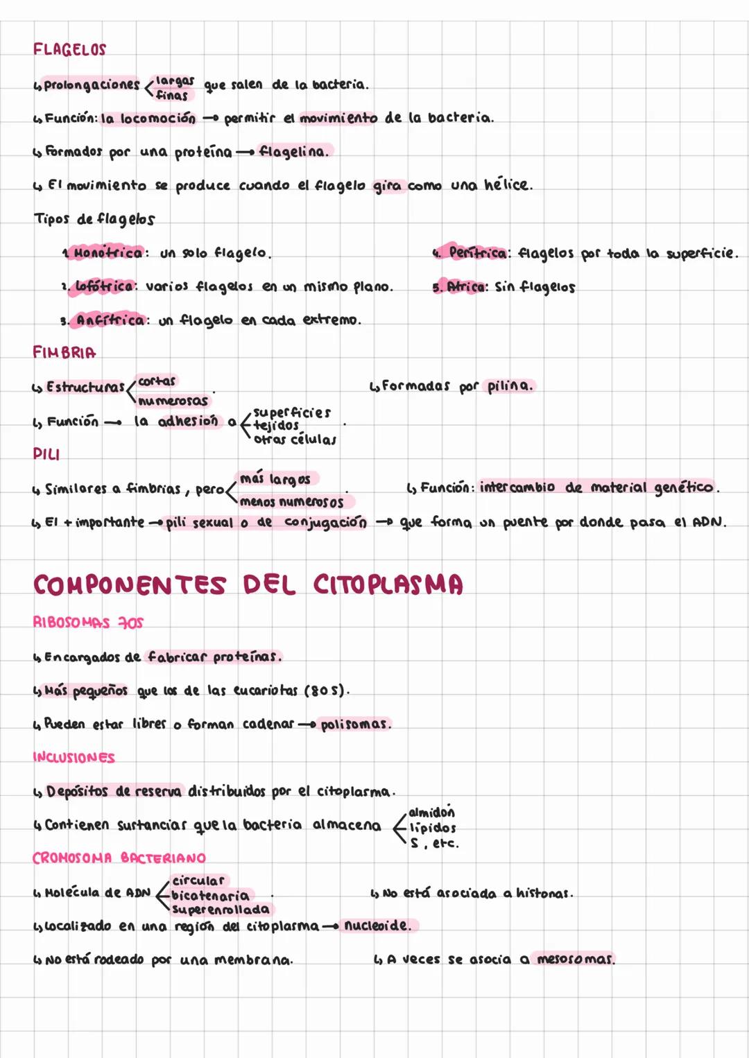# TEORÍA CELULAR Y
# Tema 6: célulav PROCARI OTA
TEORÍA CELULAR
Ls Es uno de los pilares fundamentales de la Biología. Surgió entre 1838