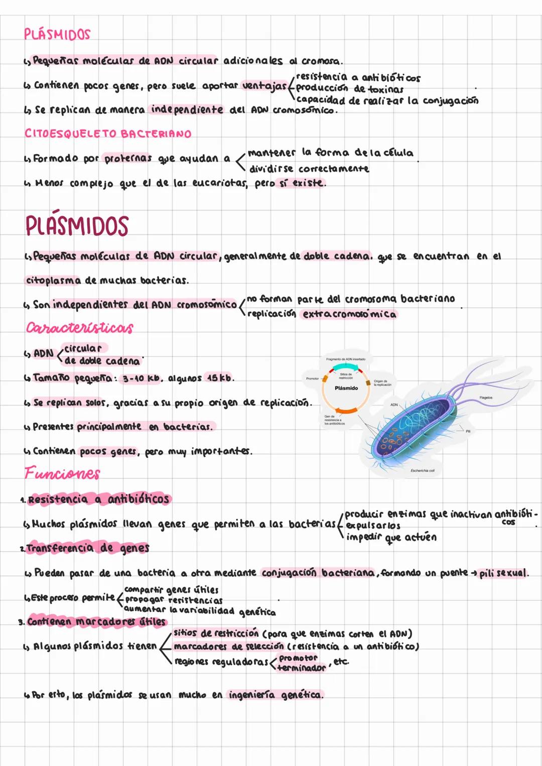 # TEORÍA CELULAR Y
# Tema 6: célulav PROCARI OTA
TEORÍA CELULAR
Ls Es uno de los pilares fundamentales de la Biología. Surgió entre 1838