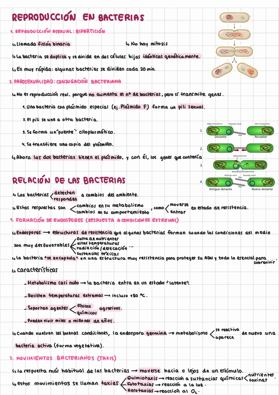 # TEORÍA CELULAR Y
# Tema 6: célulav PROCARI OTA
TEORÍA CELULAR
Ls Es uno de los pilares fundamentales de la Biología. Surgió entre 1838