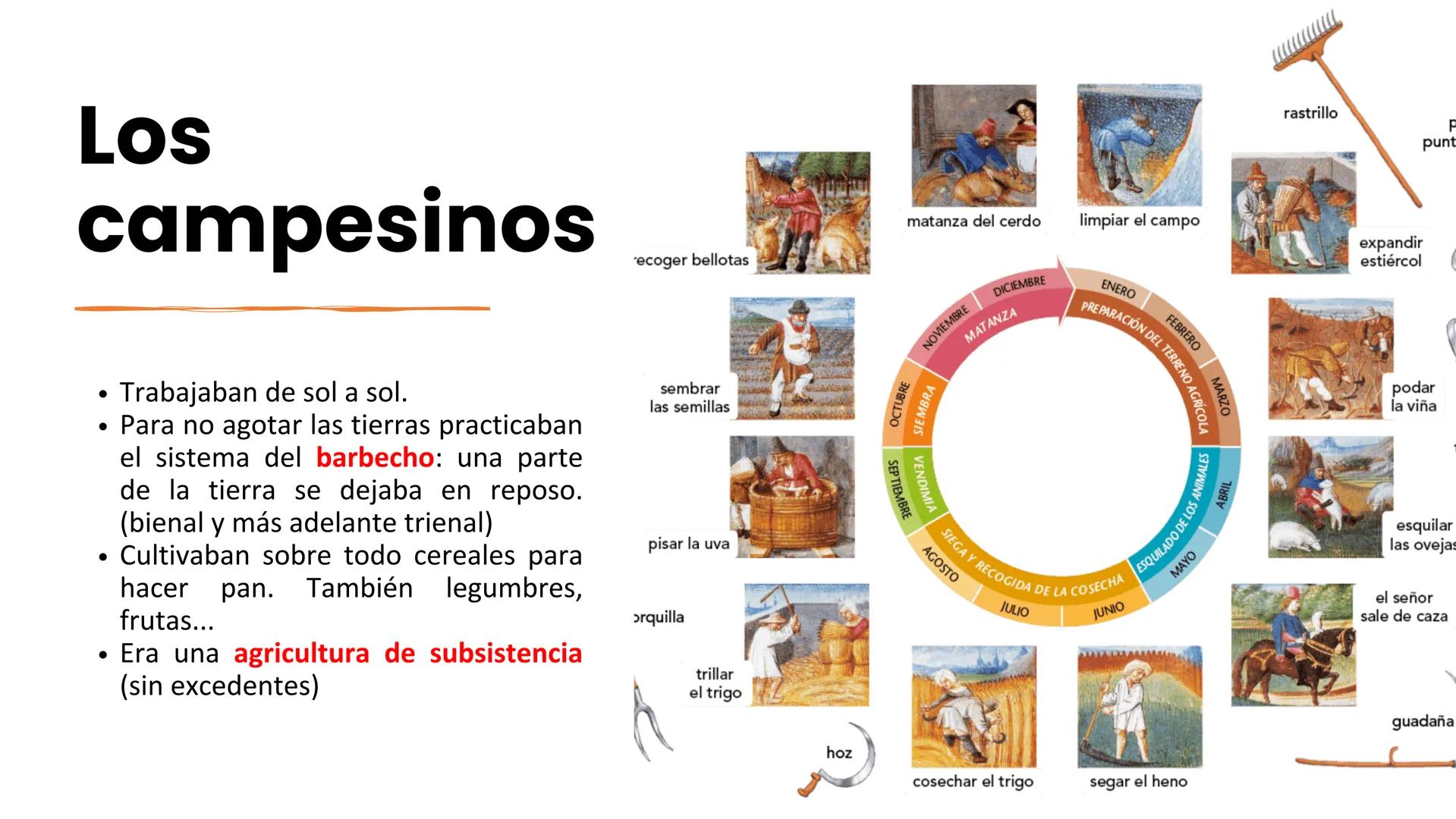 Guerrear, orar o
cultivar la tierra
La Europa Feudal # ¿Por qué se implantó el Feudalismo
en Europa?
• A partir del siglo X, en una Europa