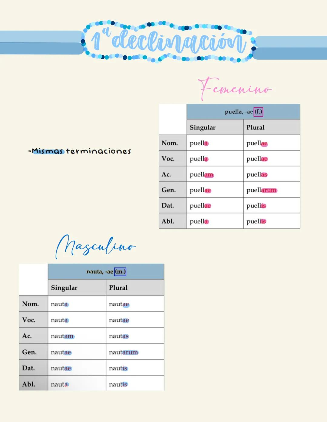 Declinaciones # 1" declinación
Femenino
-Mismas terminaciones
Masculino
nauta, -ae (m.)
| | Singular | Plural |
| :------ | :