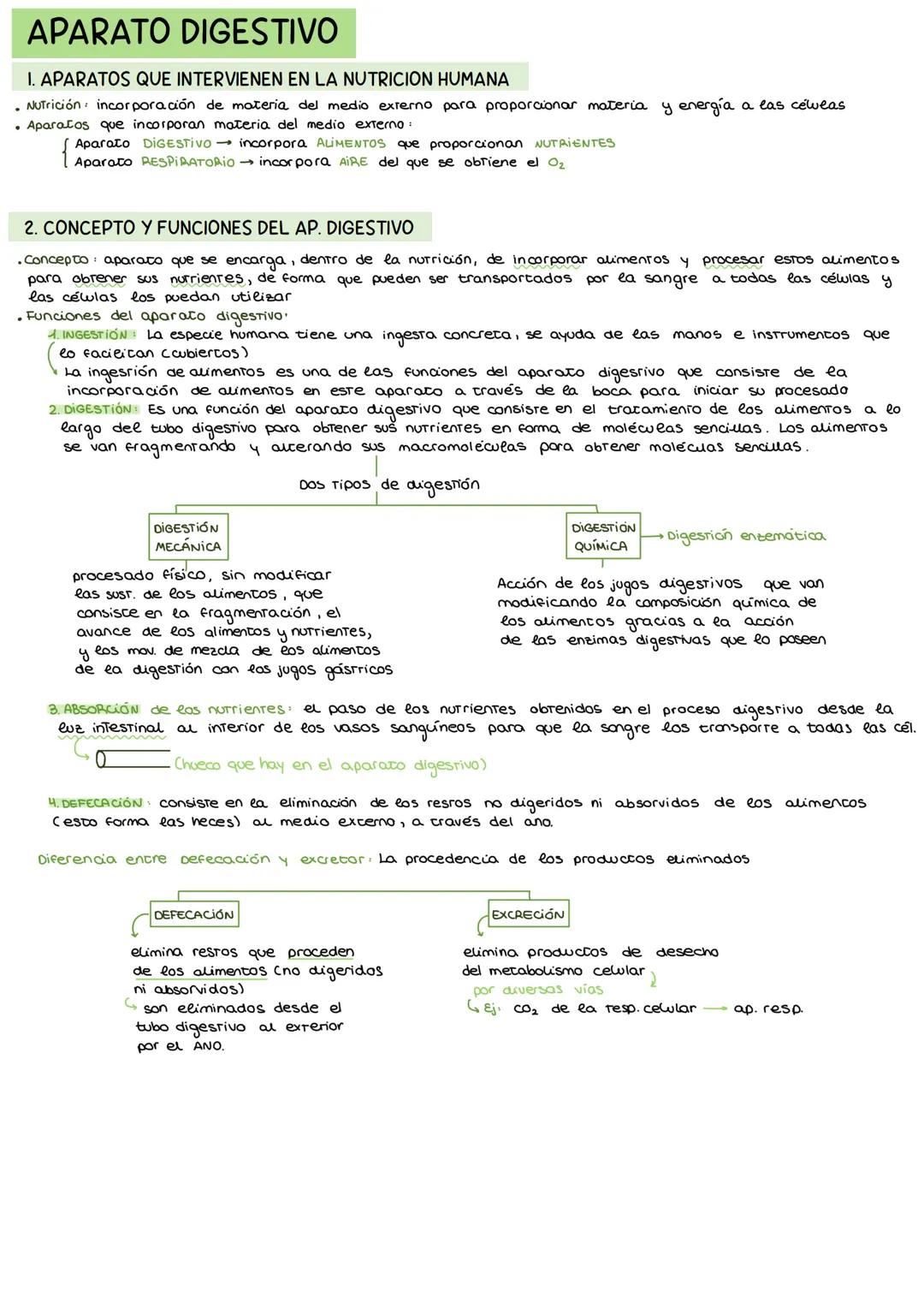 # APARATO DIGESTIVO
I. APARATOS QUE INTERVIENEN EN LA NUTRICION HUMANA
* Nutrición incorporación de materia del medio externo para propo