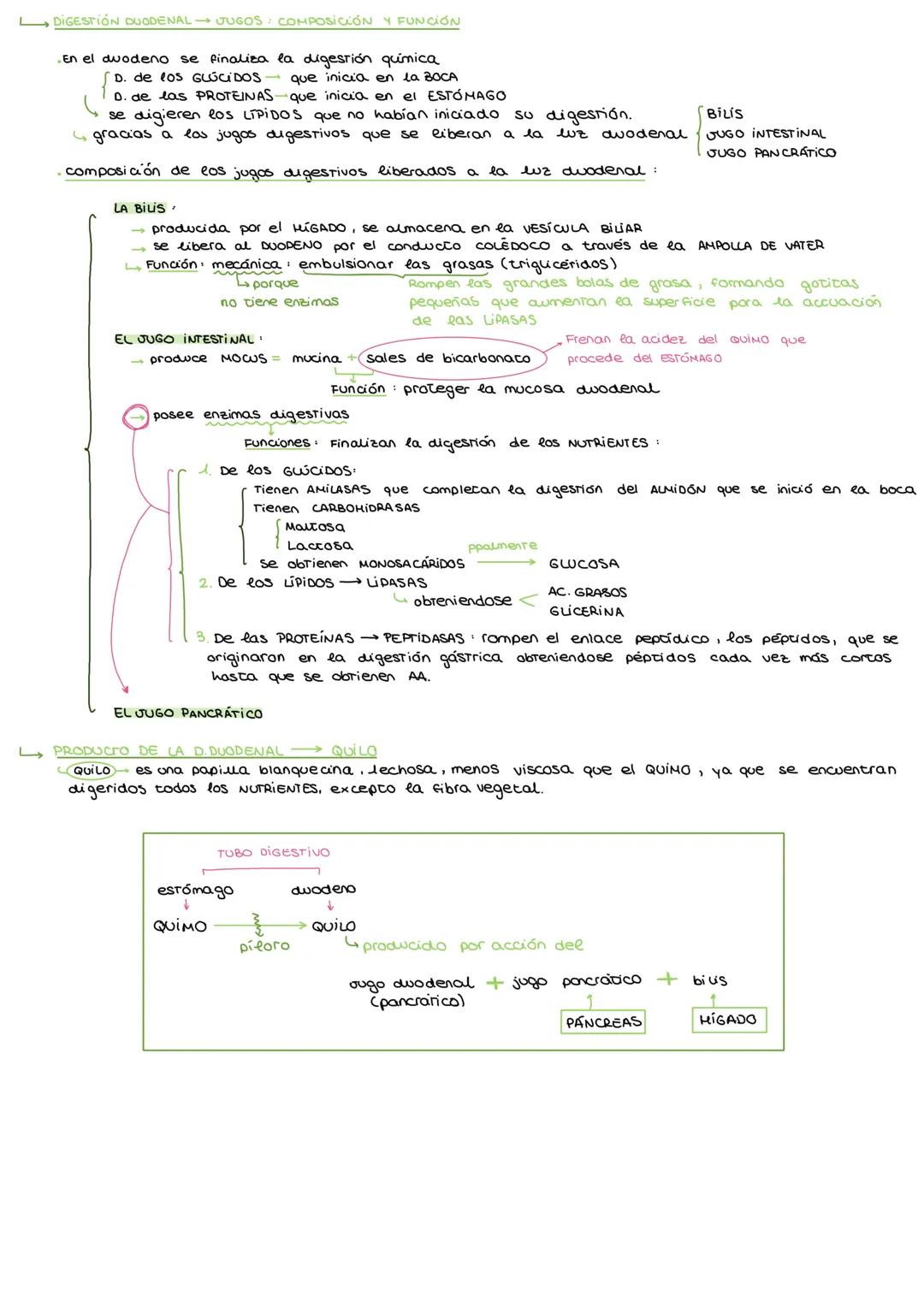 # APARATO DIGESTIVO
I. APARATOS QUE INTERVIENEN EN LA NUTRICION HUMANA
* Nutrición incorporación de materia del medio externo para propo