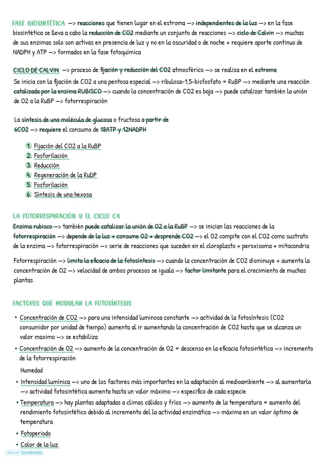 # Catabolismo
EL METABOLISMO CELULAR
* Catabolismo -> degradación de moléculas orgánicas -> obtener energía necesaria para el funcionami