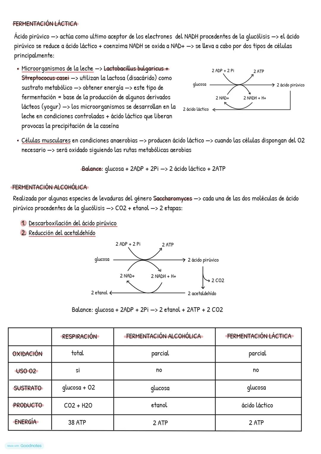 # Catabolismo
EL METABOLISMO CELULAR
* Catabolismo -> degradación de moléculas orgánicas -> obtener energía necesaria para el funcionami