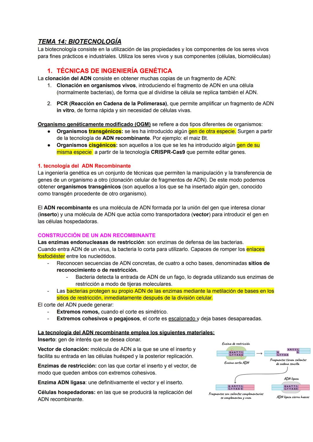 # TEMA 14: BIOTECNOLOGÍA
La biotecnología consiste en la utilización de las propiedades y los componentes de los seres vivos
para fines prác