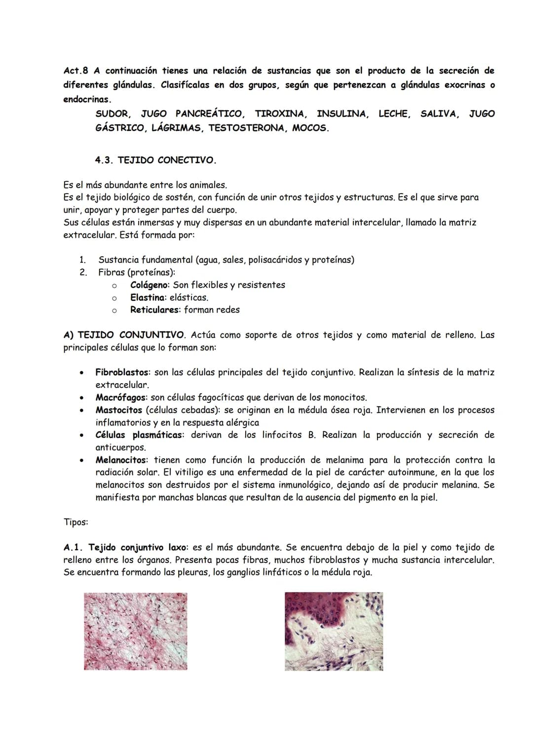 # TEMA 1: ORGANIZACIÓN BÁSICA DEL CUERPO HUMANO
## INTRODUCCIÓN
1. FUNCIONES VITALES DE LOS SERES VIVOS
2. HOMEOSTASIS
3. NIVELES DE ORGAN