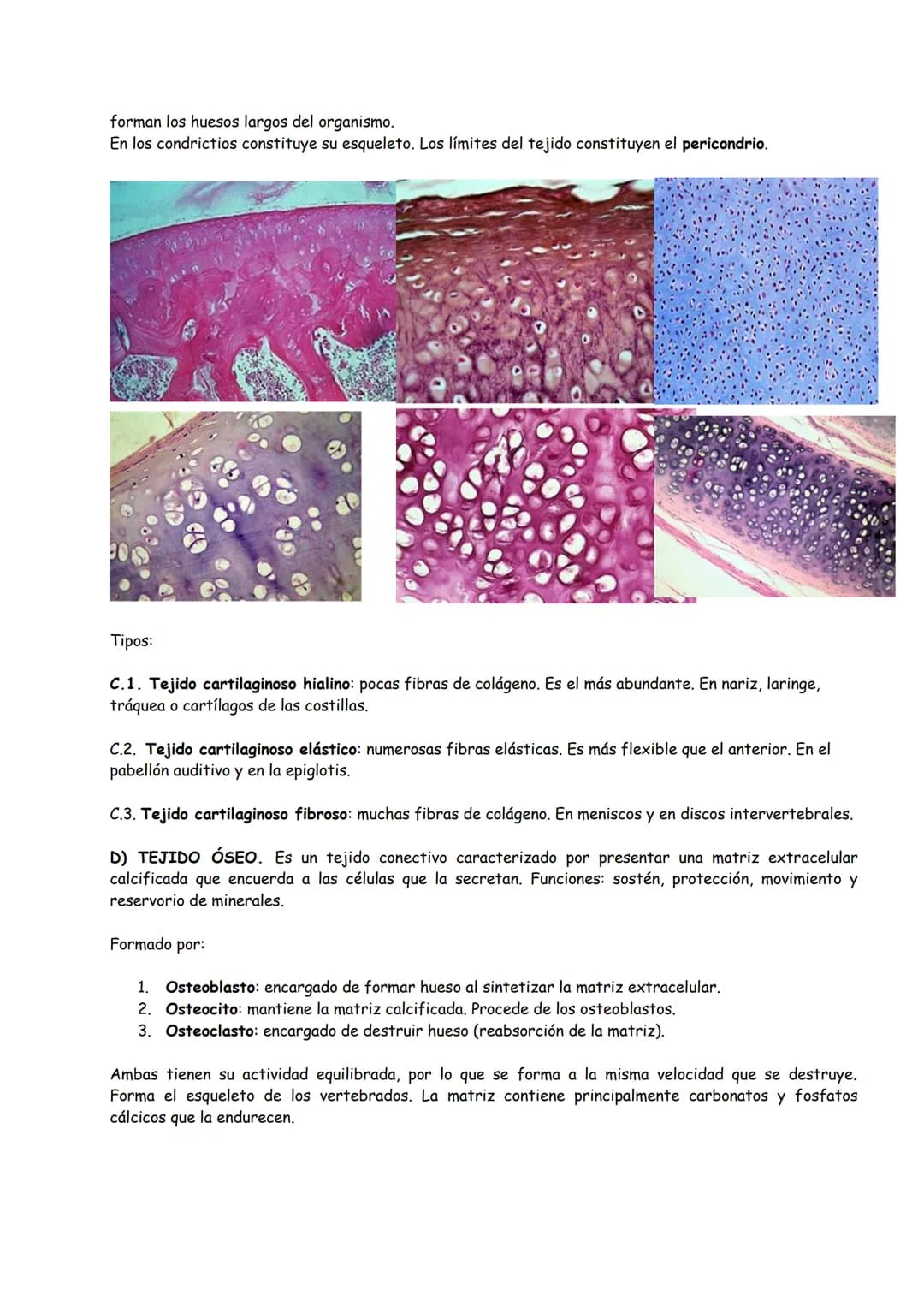 # TEMA 1: ORGANIZACIÓN BÁSICA DEL CUERPO HUMANO
## INTRODUCCIÓN
1. FUNCIONES VITALES DE LOS SERES VIVOS
2. HOMEOSTASIS
3. NIVELES DE ORGAN