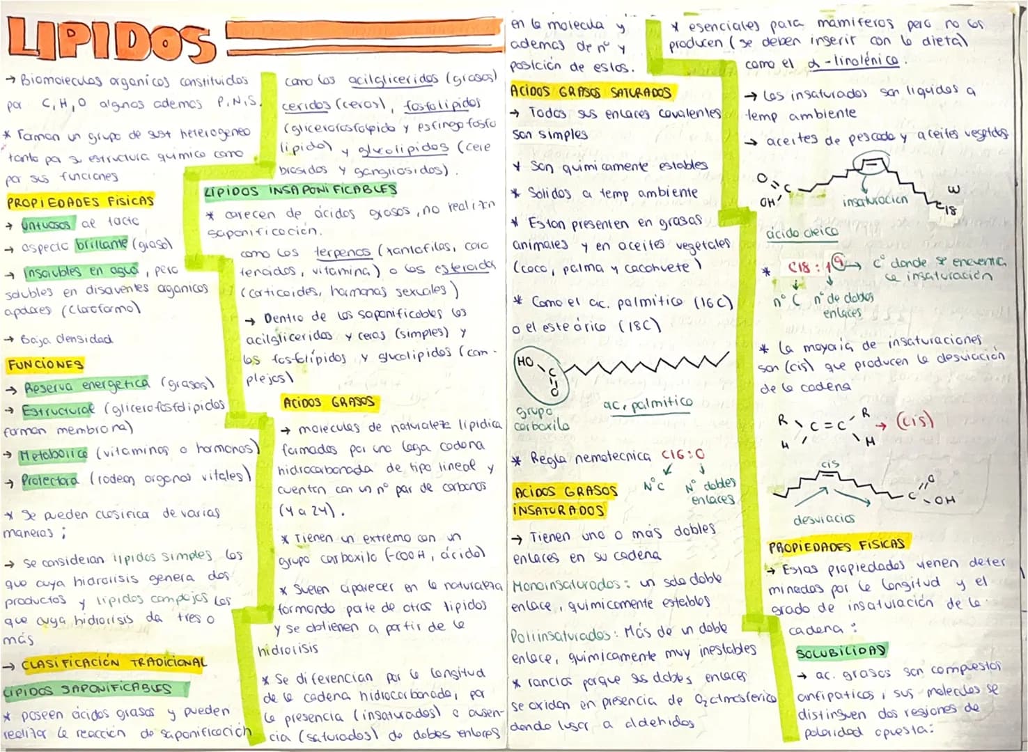 # LIPIDOS
→Biomolecules organicos constituidos
pa C, H, O algunos ademas P.N.S.
* Faman un grupo de sust heterogeneo
tanto pa su estructura