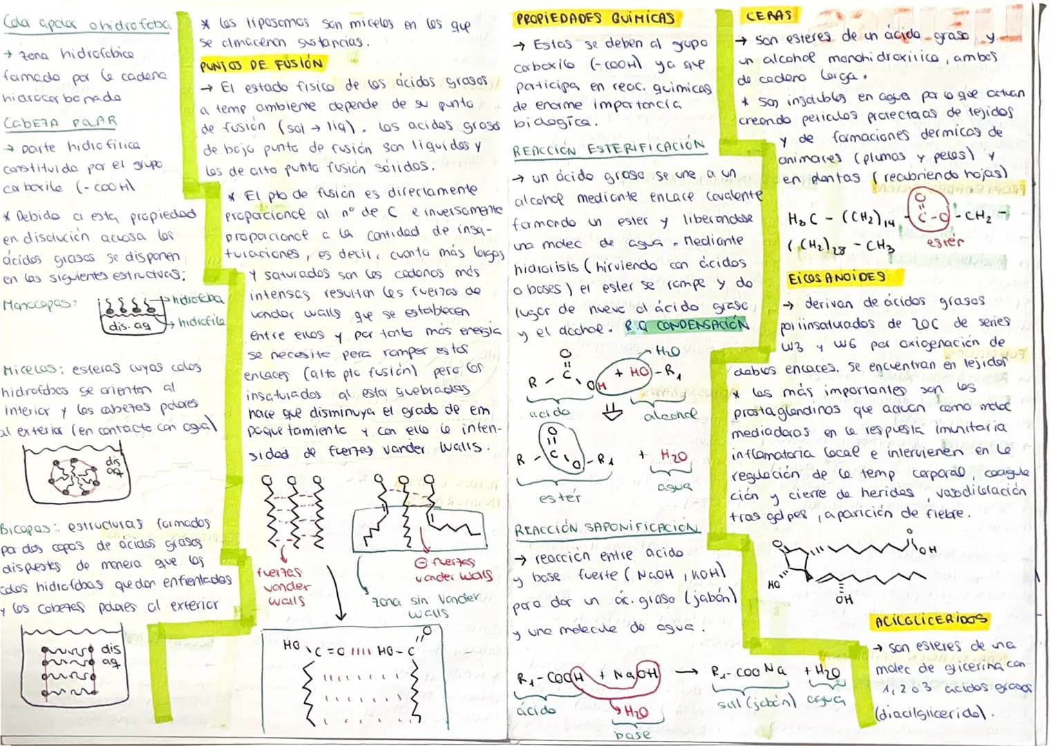# LIPIDOS
→Biomolecules organicos constituidos
pa C, H, O algunos ademas P.N.S.
* Faman un grupo de sust heterogeneo
tanto pa su estructura